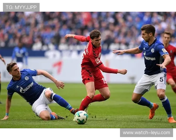 围绕弗赖堡俱乐部的崛起历程与德甲发展新篇章及其青训体系创新探索