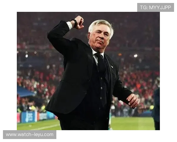 皇家马德里冬窗引援计划曝光安切洛蒂布局未来蓝图七名新星目标浮现 皇家马德里冬窗引援计划曝光安切洛蒂布局未来蓝图七名新星目标浮现